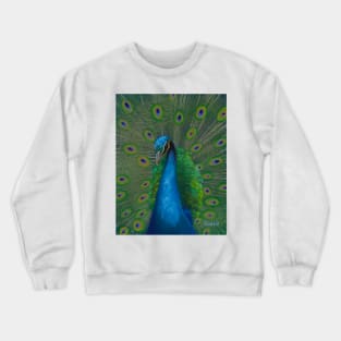 Digital painted Peacock Crewneck Sweatshirt